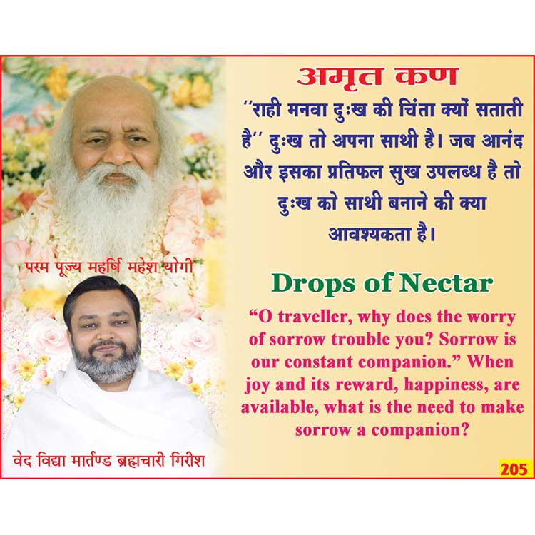 अमृत कण 205